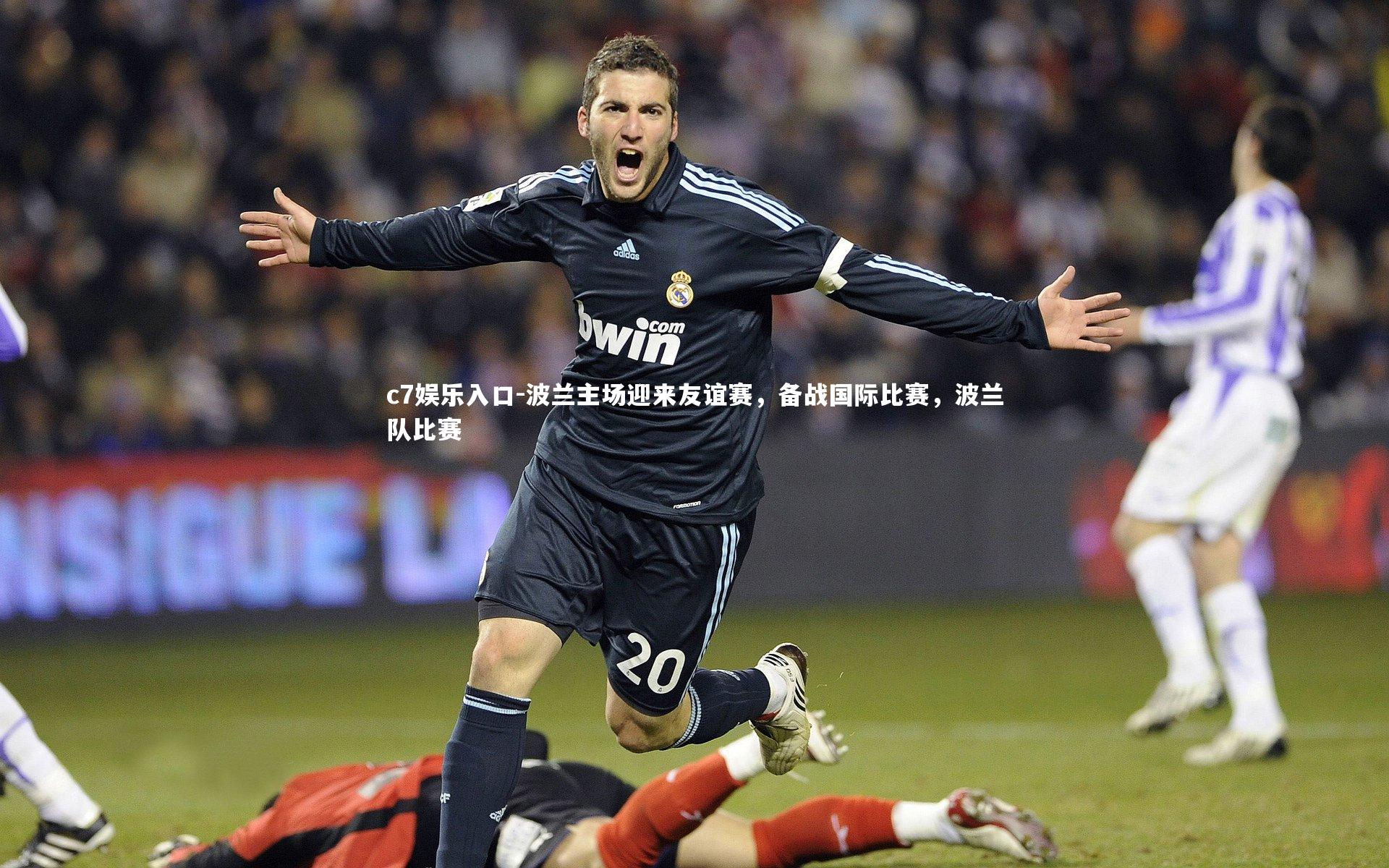 c7娱乐入口-波兰主场迎来友谊赛，备战国际比赛，波兰队比赛