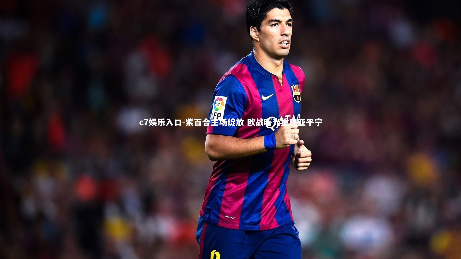 c7娱乐入口-紫百合主场绽放 欧战曙光重现亚平宁